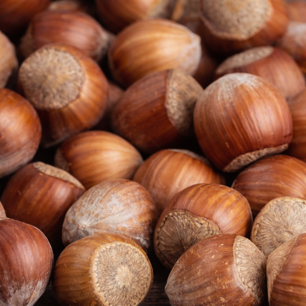 ヘーゼルナッツオイル（オーガニック認定）