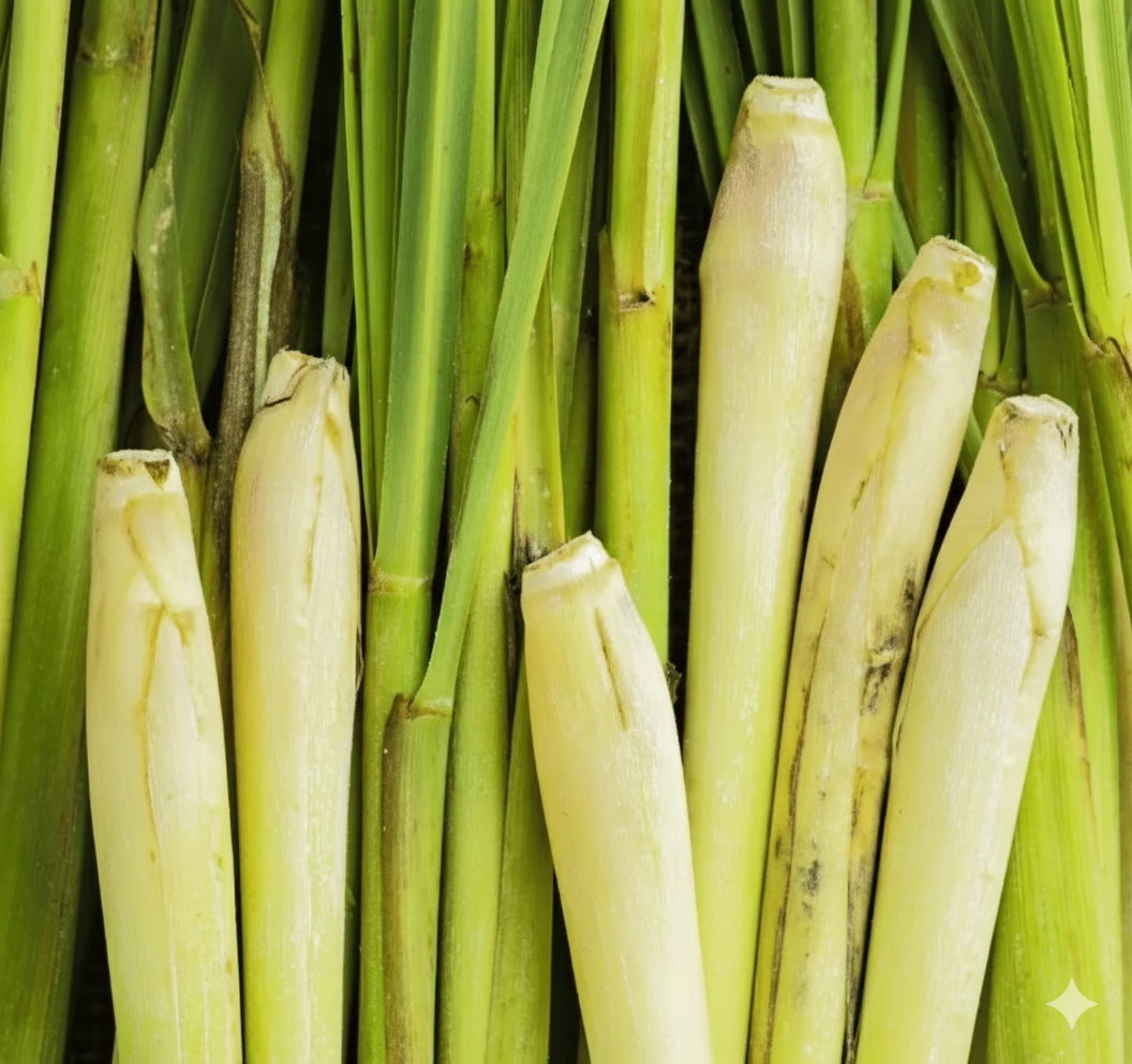 レモングラス精油（オーガニック認定）